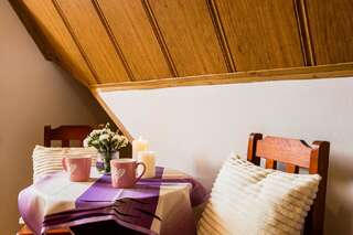 Отели типа «постель и завтрак» Willa Bystry Potok Поронин Double Room in the attic with balcony-13