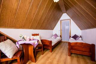 Отели типа «постель и завтрак» Willa Bystry Potok Поронин Double Room in the attic with balcony-15